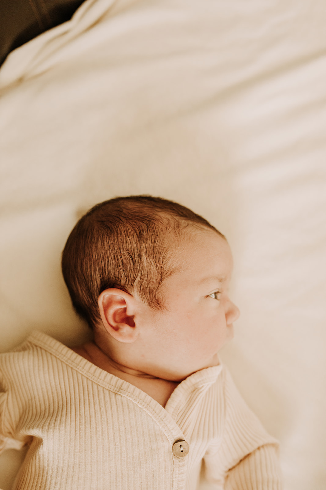 in home newborn infant newborn session family photos newborn photographer San Diego family photographer Sabrina kinsella Sabrinalynnphoto