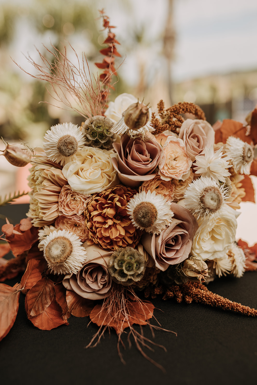 outdoor wedding backyard wedding wedding dress wedding florals western wedding rustic wedding small intimate backyard wedding bride and groom marriage just married wedding party wedding reception photos wedding photography wedding photographer San Diego wedding photographer sabrina kinsella