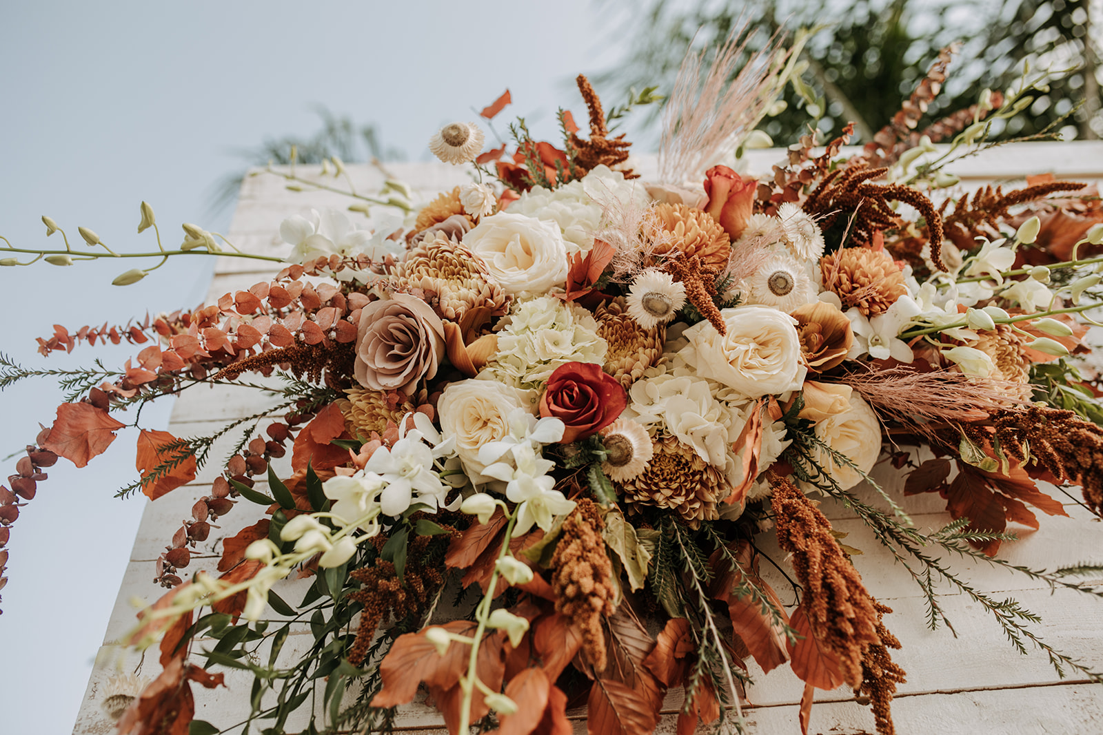 outdoor wedding backyard wedding wedding dress wedding florals western wedding rustic wedding small intimate backyard wedding bride and groom marriage just married wedding party wedding reception photos wedding photography wedding photographer San Diego wedding photographer sabrina kinsella