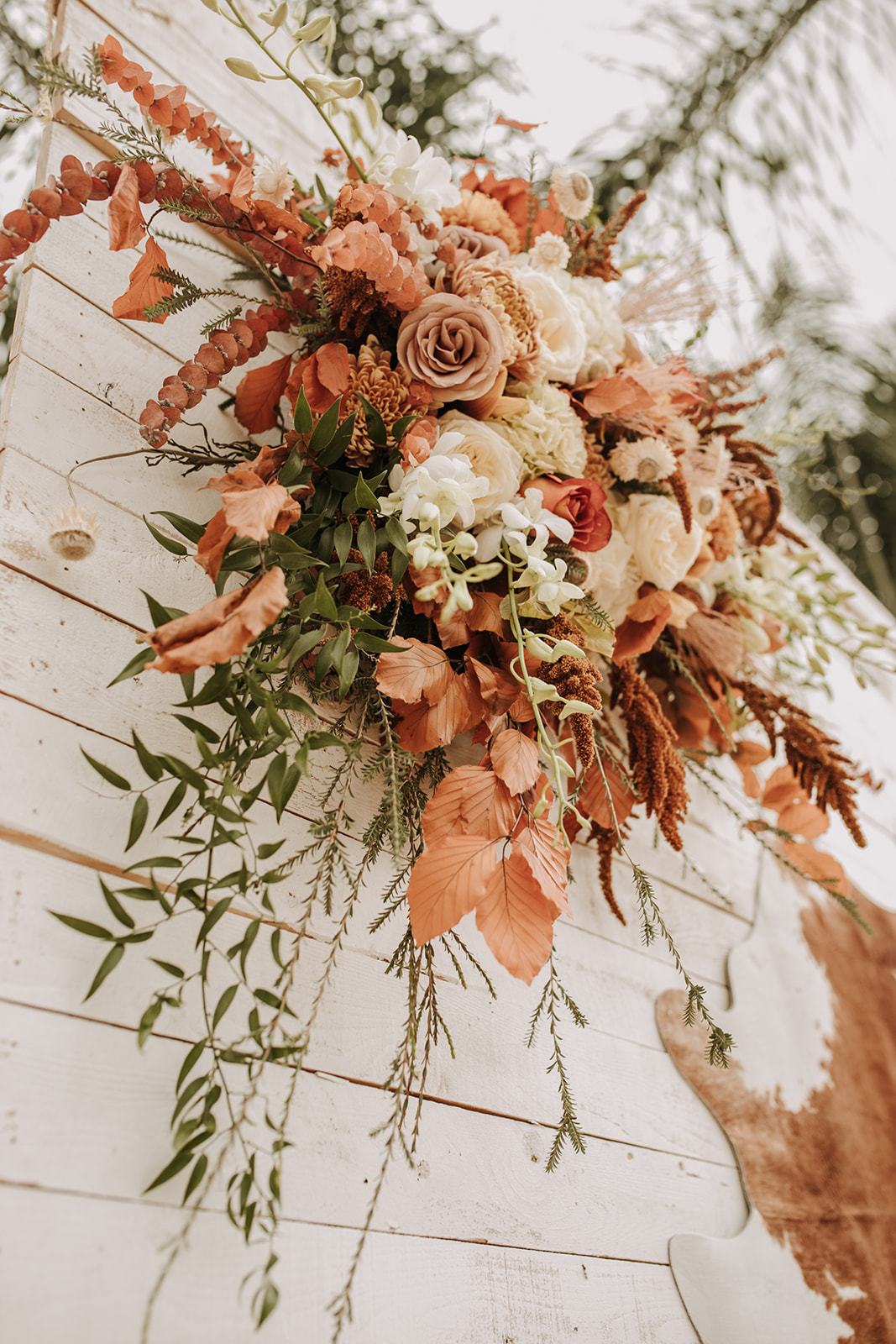 outdoor wedding backyard wedding wedding dress wedding florals western wedding rustic wedding small intimate backyard wedding bride and groom marriage just married wedding party wedding reception photos wedding photography wedding photographer San Diego wedding photographer sabrina kinsella