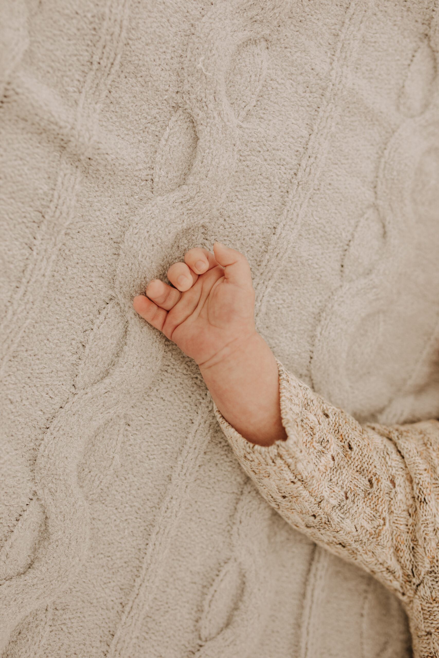 warm toned neutral color outdoor family photos beach day family photos newborn photos infant family cloudy day san digo family photographer Sabrina Kinsella