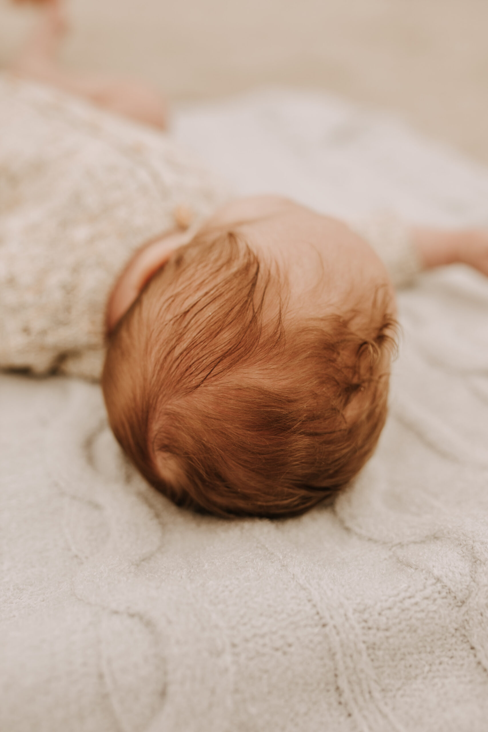 warm toned neutral color outdoor family photos beach day family photos newborn photos infant family cloudy day san digo family photographer Sabrina Kinsella