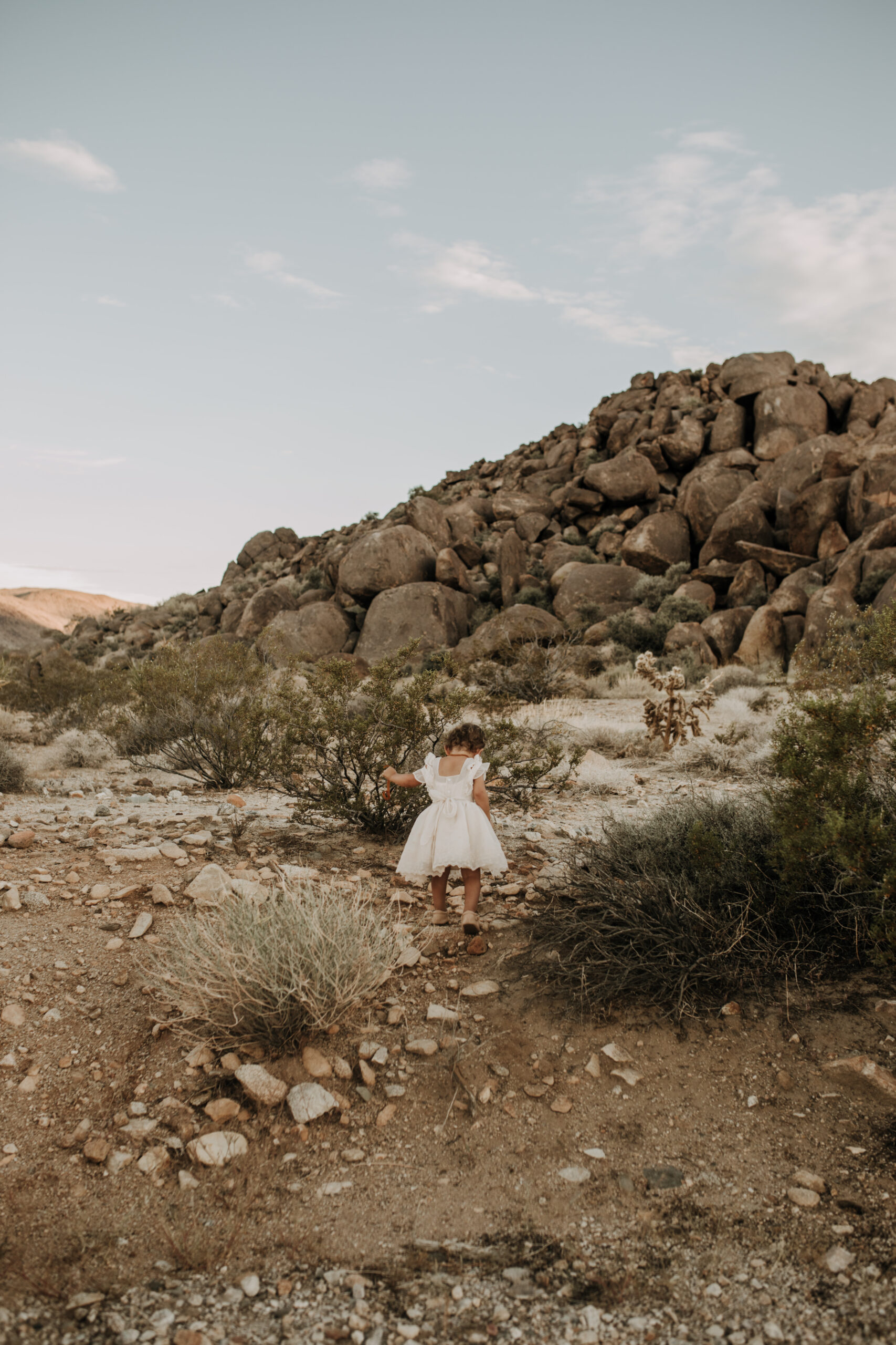 Joshua Tree national park warm neutral toned outdoor family photos maternity photography maternity fashion family of five San Diego family photographer Sabrina kinsella