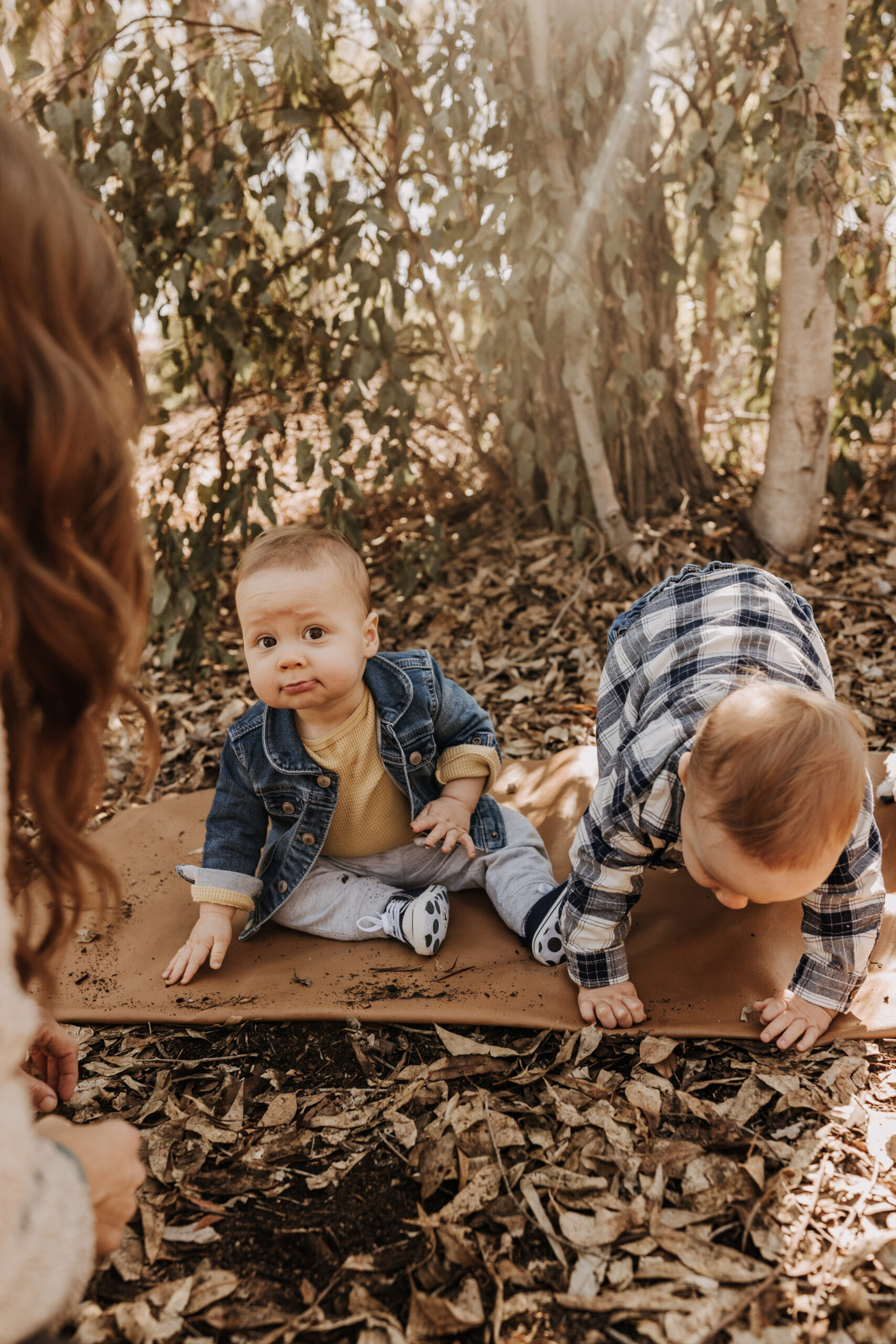 warm fall photos family photos soft morning light family of four twins candid family photos San Diego family photographer Sabrina kinsella sabrinalynnphot