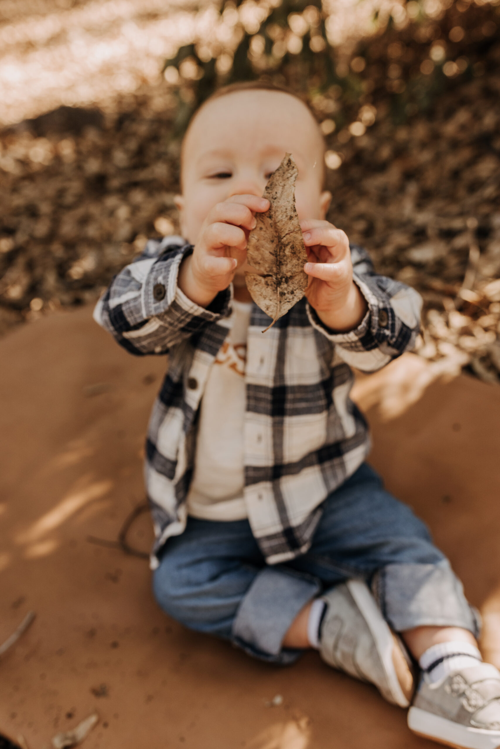 warm fall photos family photos soft morning light family of four twins candid family photos San Diego family photographer Sabrina kinsella sabrinalynnphot