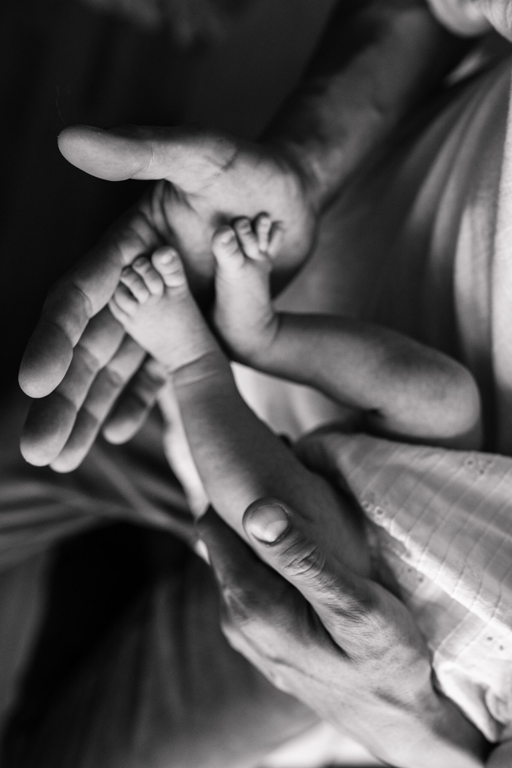 warm and cozy in home family session newborn photos newborn baby infant photos candid family moments neutral toned in home family of four San Diego family photographer Sabrina kinsella sabrinalynnphoto