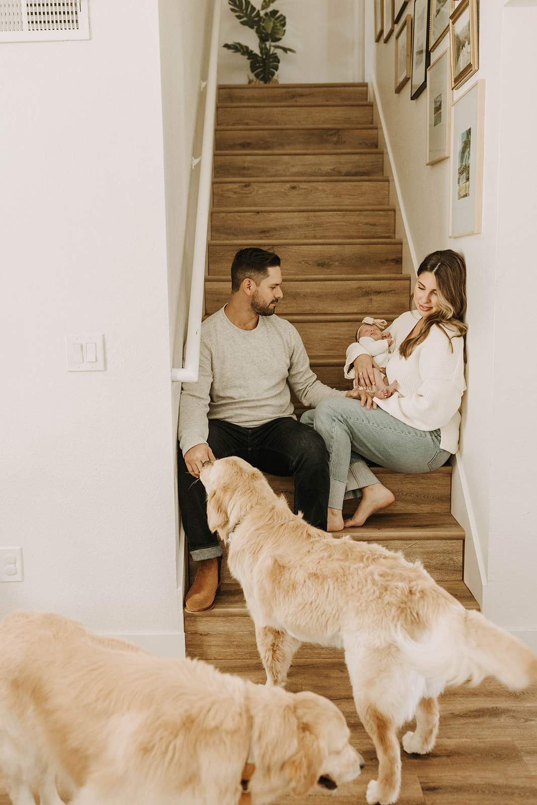 cozy at home newborn photoshoot in san diego