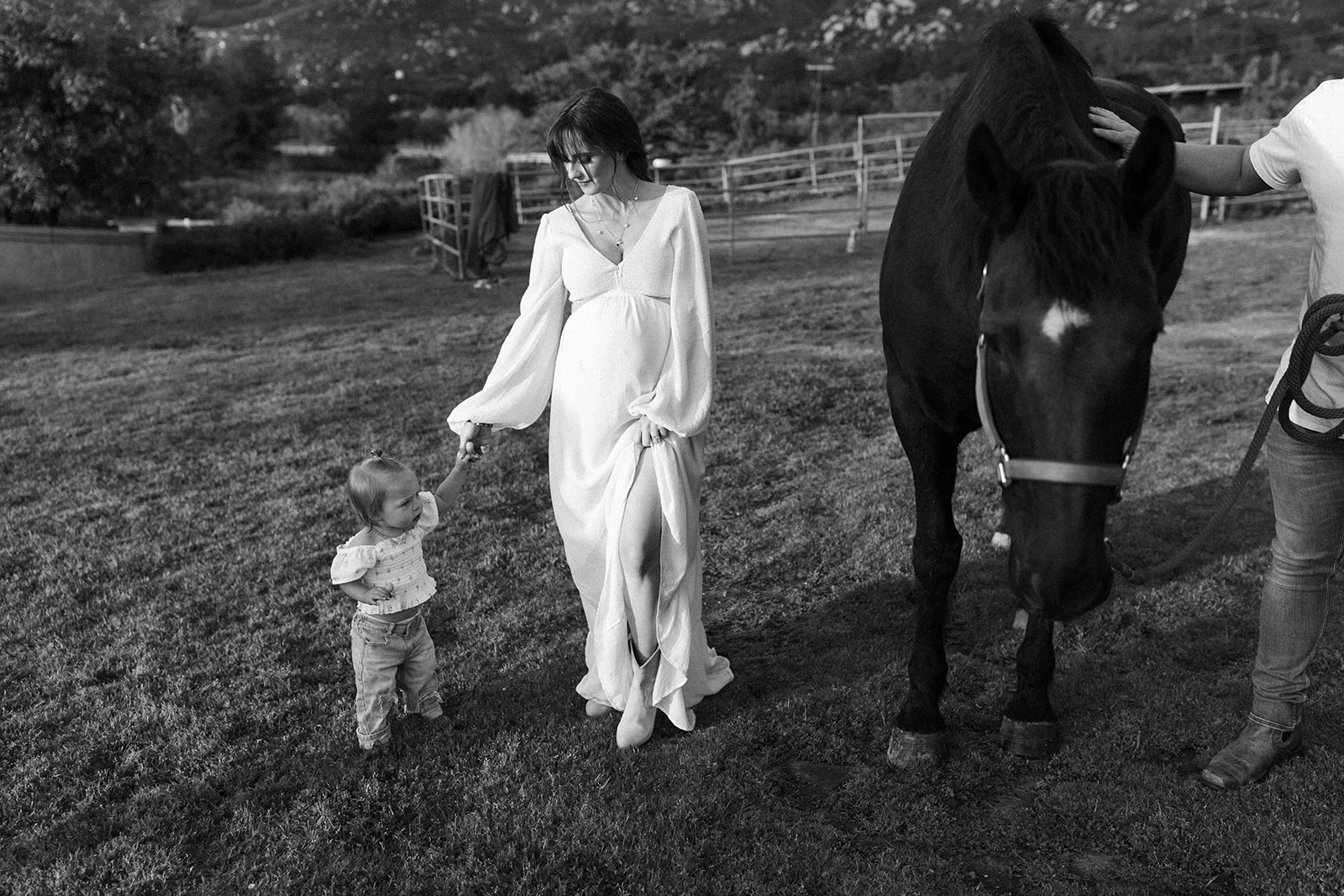 family maternity photoshoot with a horse